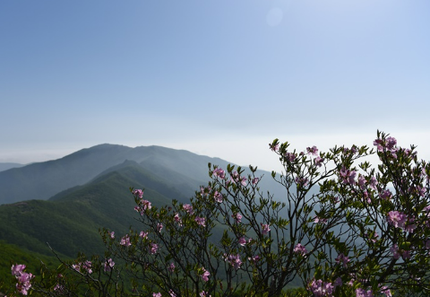 단양-소백산-철죽제
