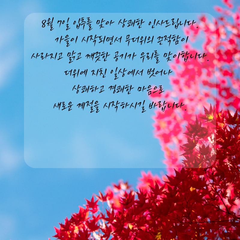 8월7일 입추 인사말 문구 이미지 모음