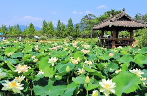 페리기념연못 전경 2