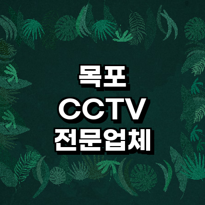 목포시 cctv