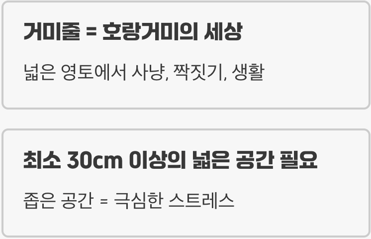 자유로운 영혼, 좁은 공간의 스트레스