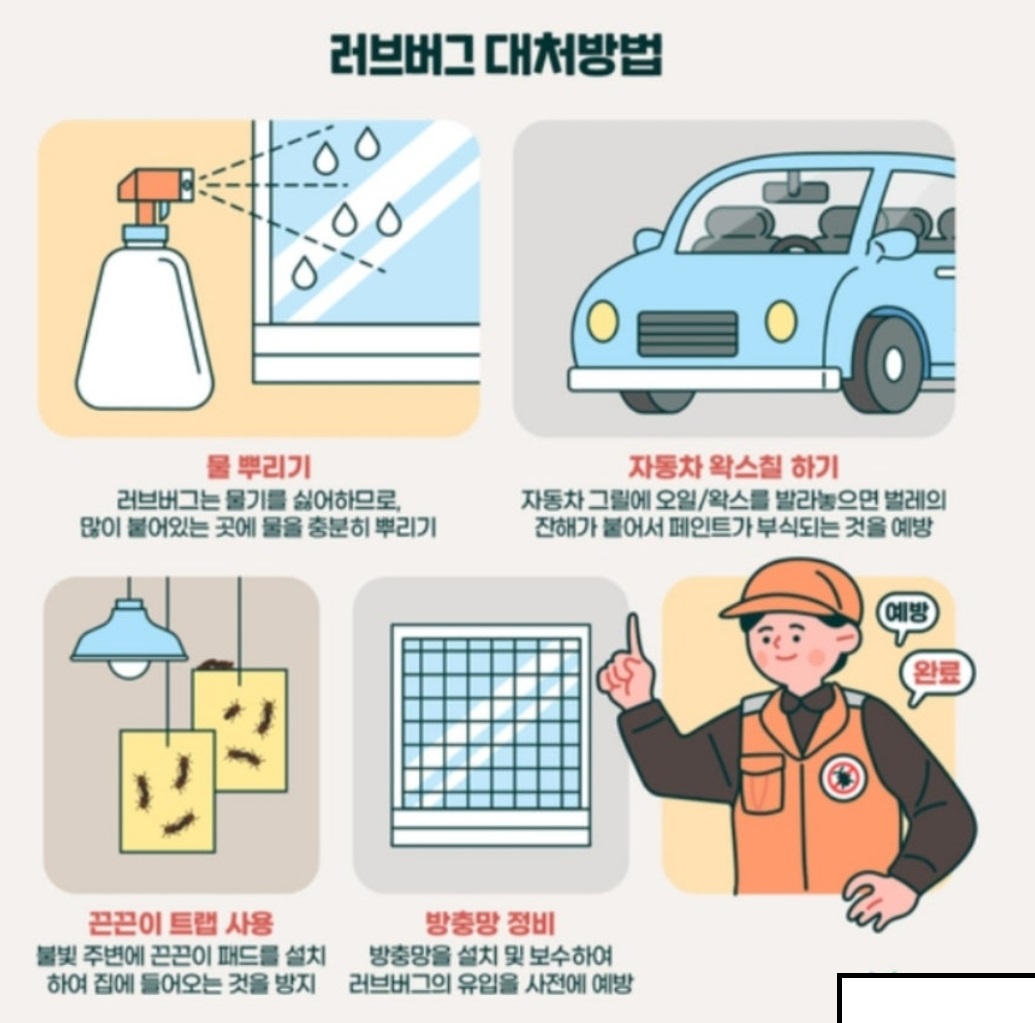 러브버그-지도-퇴치-실시간