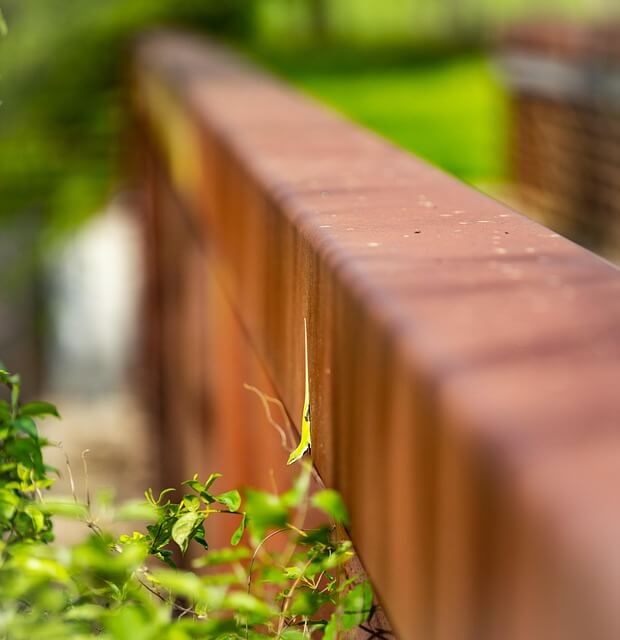 테라리움 키트와 식물 선택 가이드