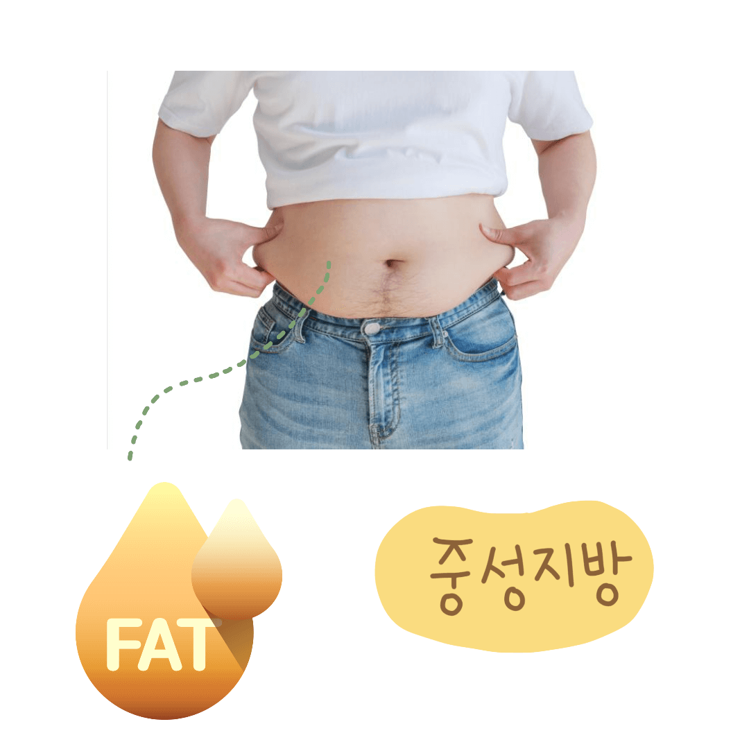 중성지방