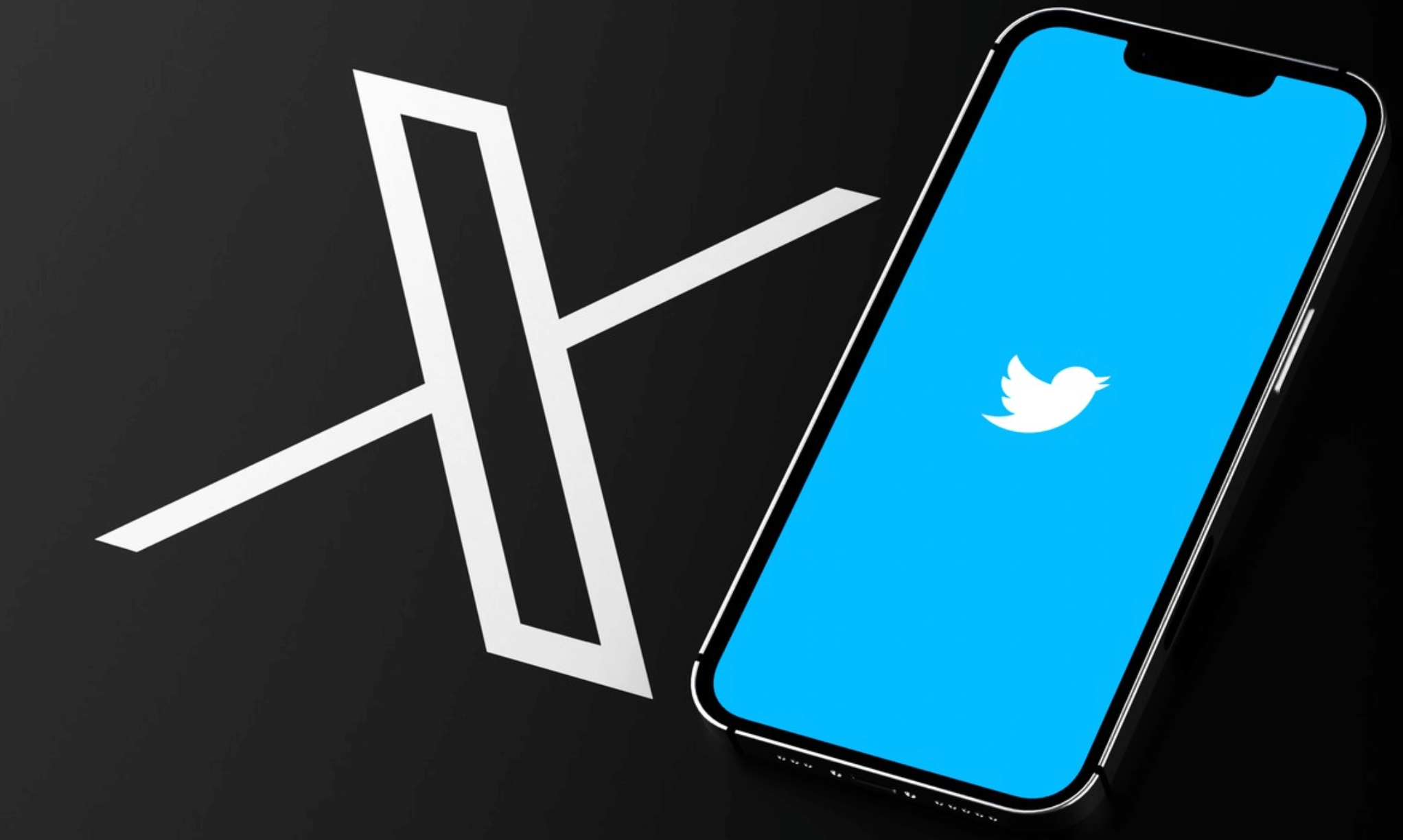 10대가 즐겨찾는 SNS 트위터 로고