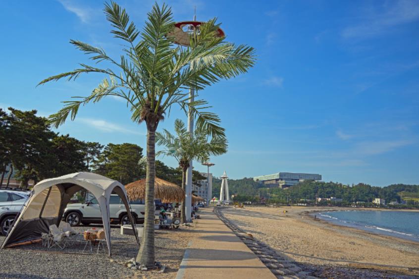 경주 관성솔밭해변