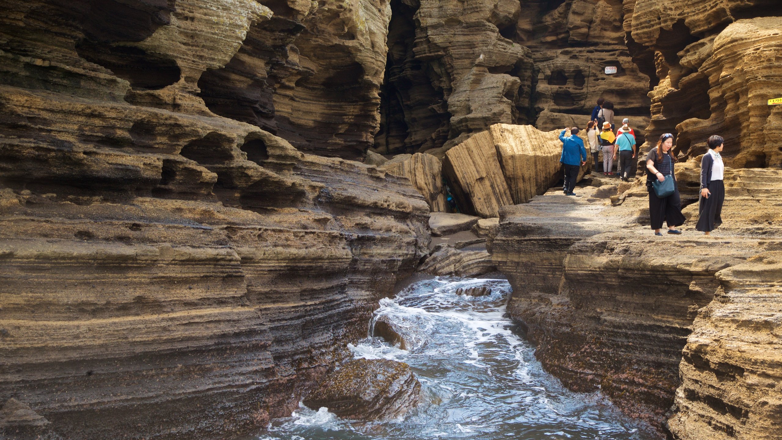 제주도 비행기표 싸게 사는법 총정리 : 땡처리 항공권 & 가격비교 꿀팁