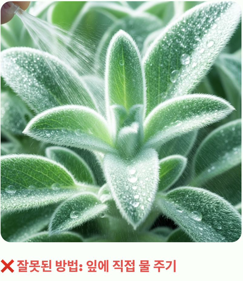 실수 하나: 과도한 애정, '물' 주기