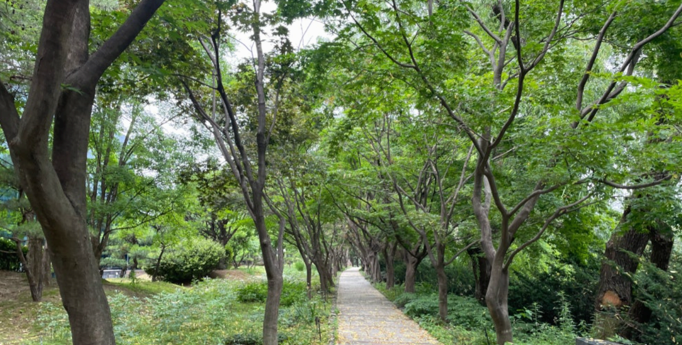 [서울 근교 여행] 경기도 파주 드라마 촬영지 사계절 내내 아름다운 벽초지수목원