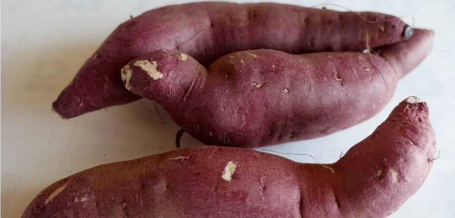 고구마 세 개가 놓여 있다