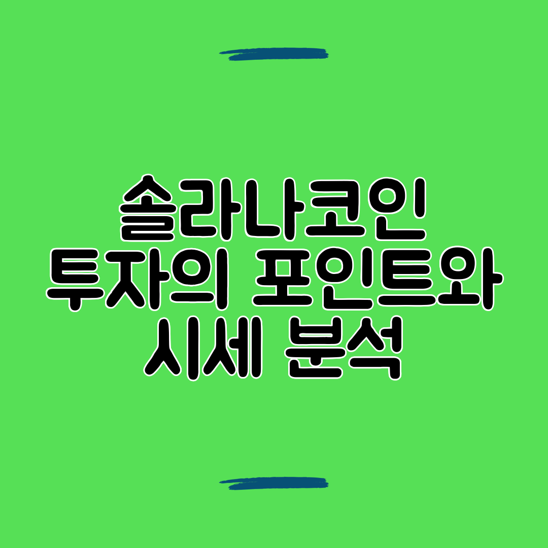 솔라나코인 투자의 포인트와 시세 분석