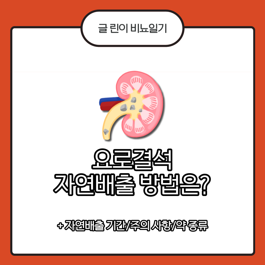 요로결석 자연배출