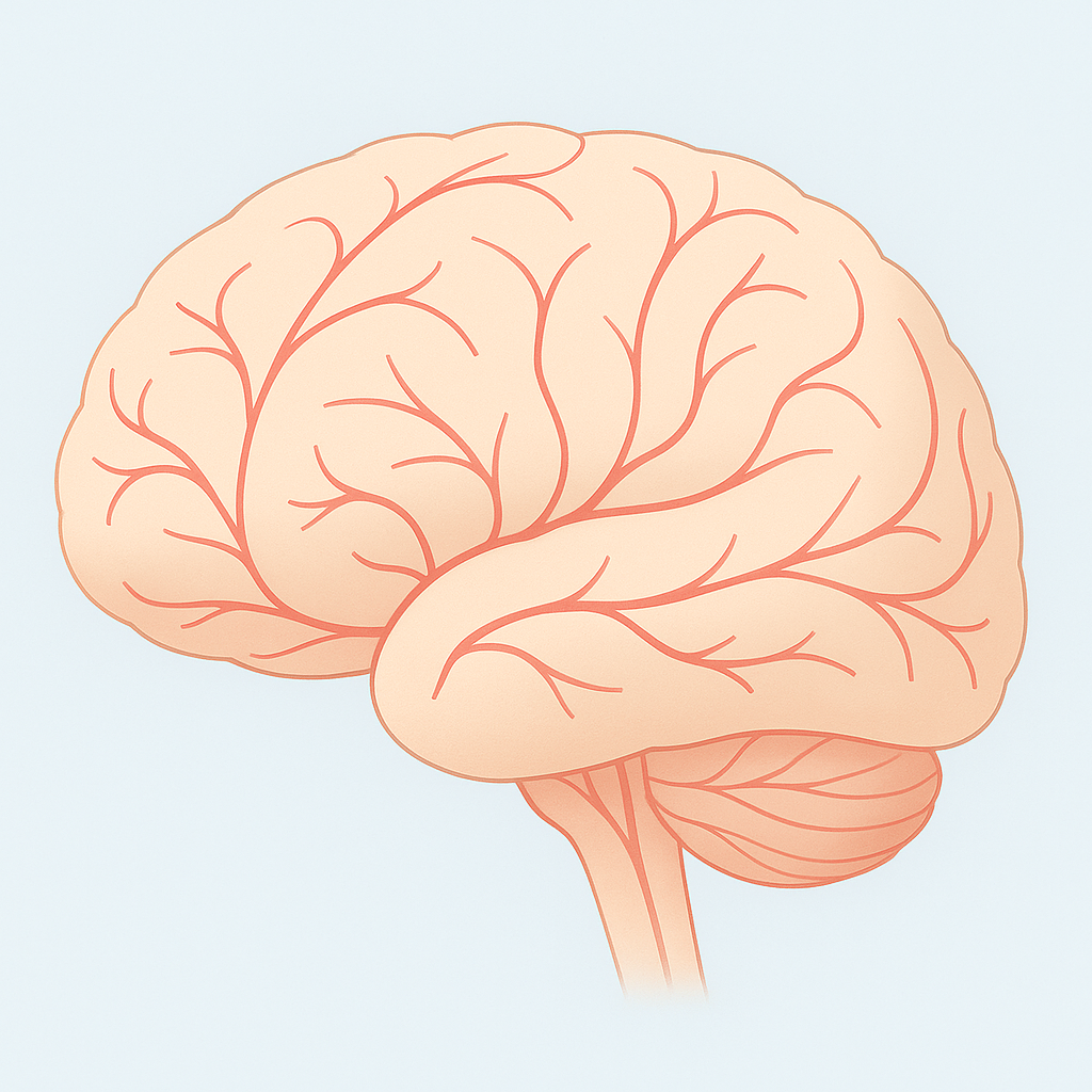 사람 뇌와 혈관을 강조한 의료 일러스트