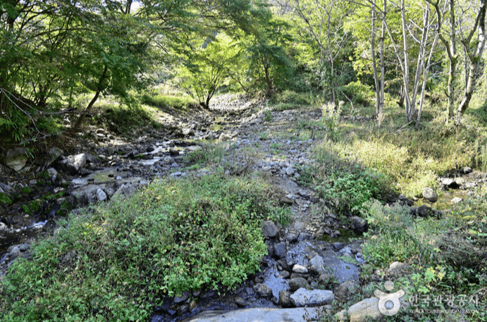 담양군 용흥사계곡