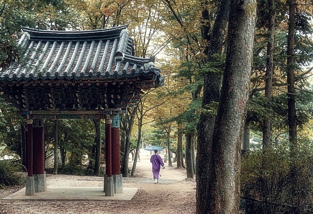대전별서