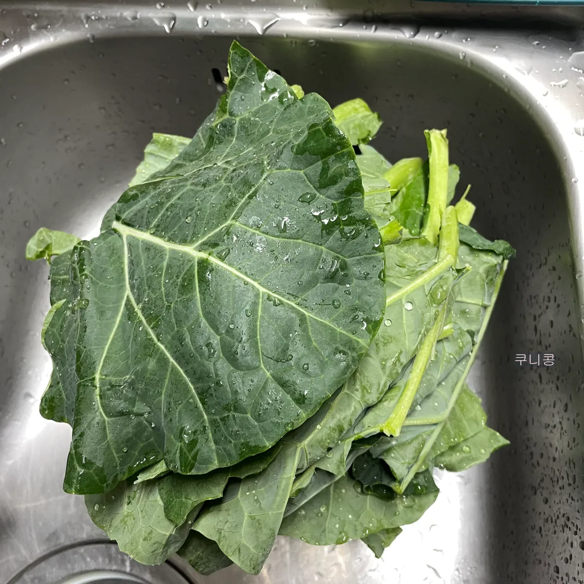 집에서-간단하게-전자레인지로-케일-찌는-방법&amp;#44;-실리만-찜기-사용후기