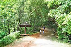 대전 가볼 만한 곳