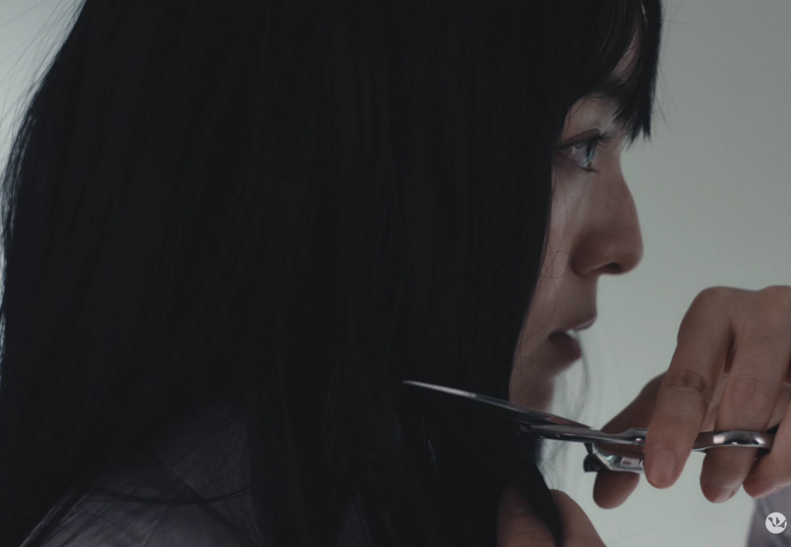 WOODZ Human Extinction