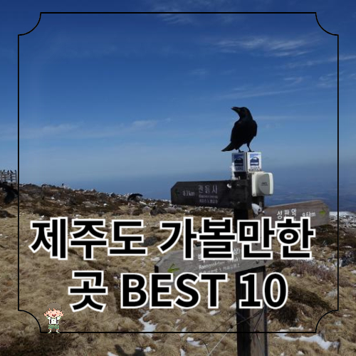 제주도 가볼만한 곳 베스트 10