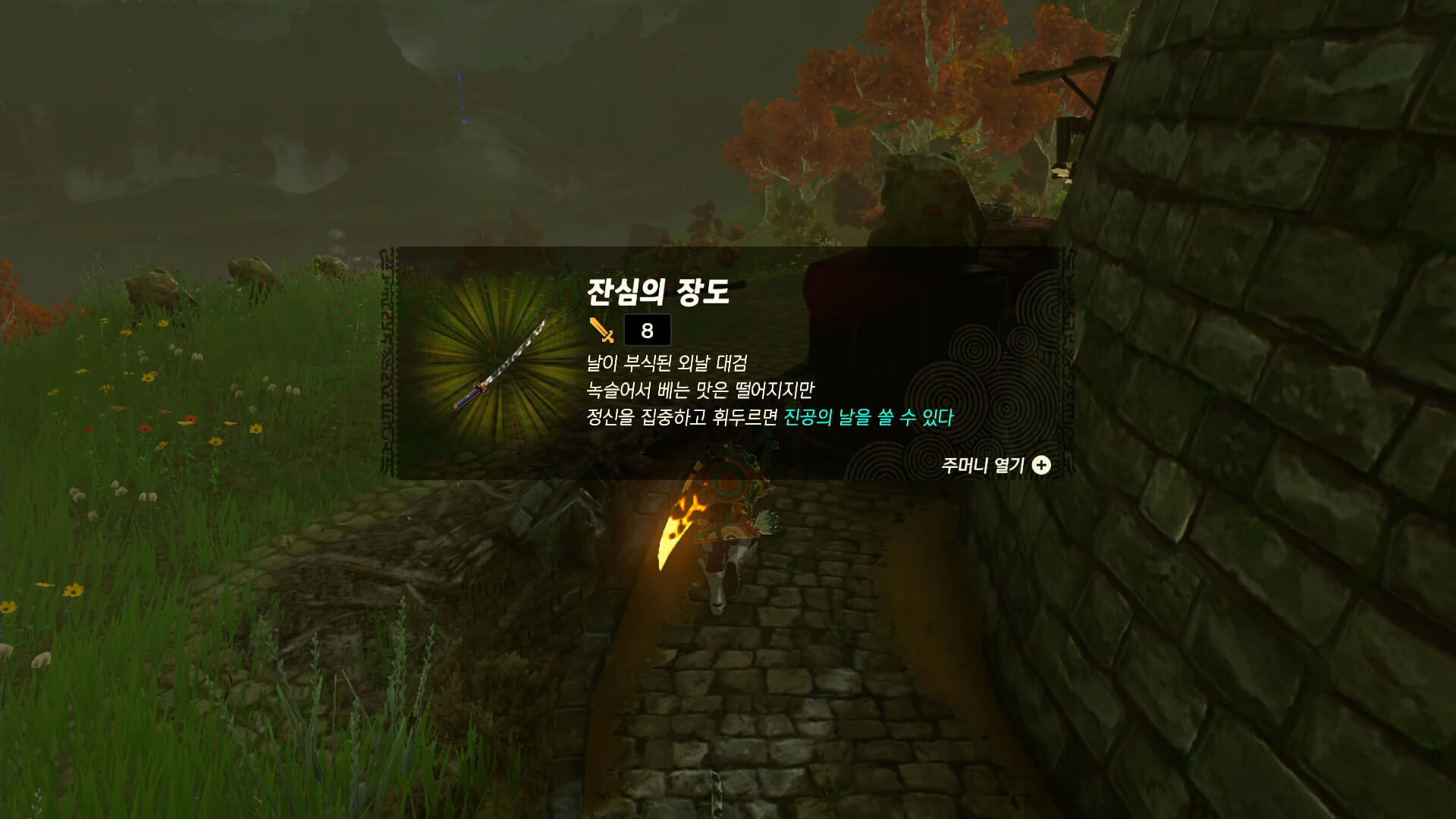 잔심의-장도-획득