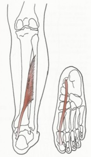 장모지굴근-위치-설명도