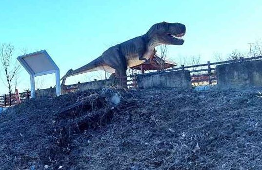 신성리 공룡발자국