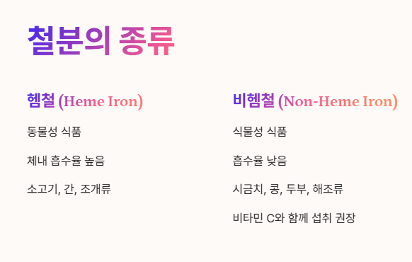 철분의 종류