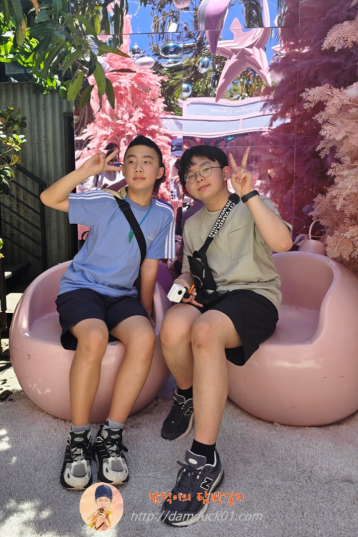 더 그라운즈 오브 알렉산드리아(The Grounds of Alexandria)