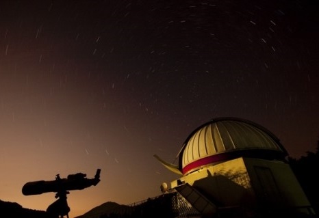 고창 청농원 라벤더 축제