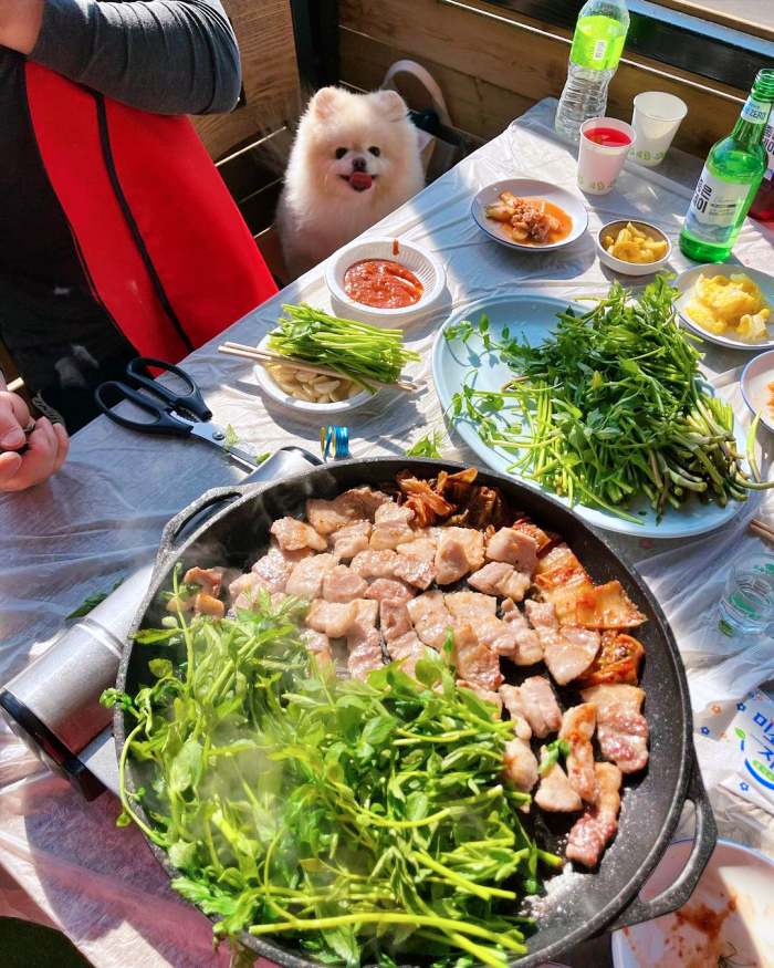 양산 원동 맛집 추천 생방송투데이 동치미 막국수 비빔국수 미나리 삼겹살 오늘방송 보고 먹고 즐기고! 3GO