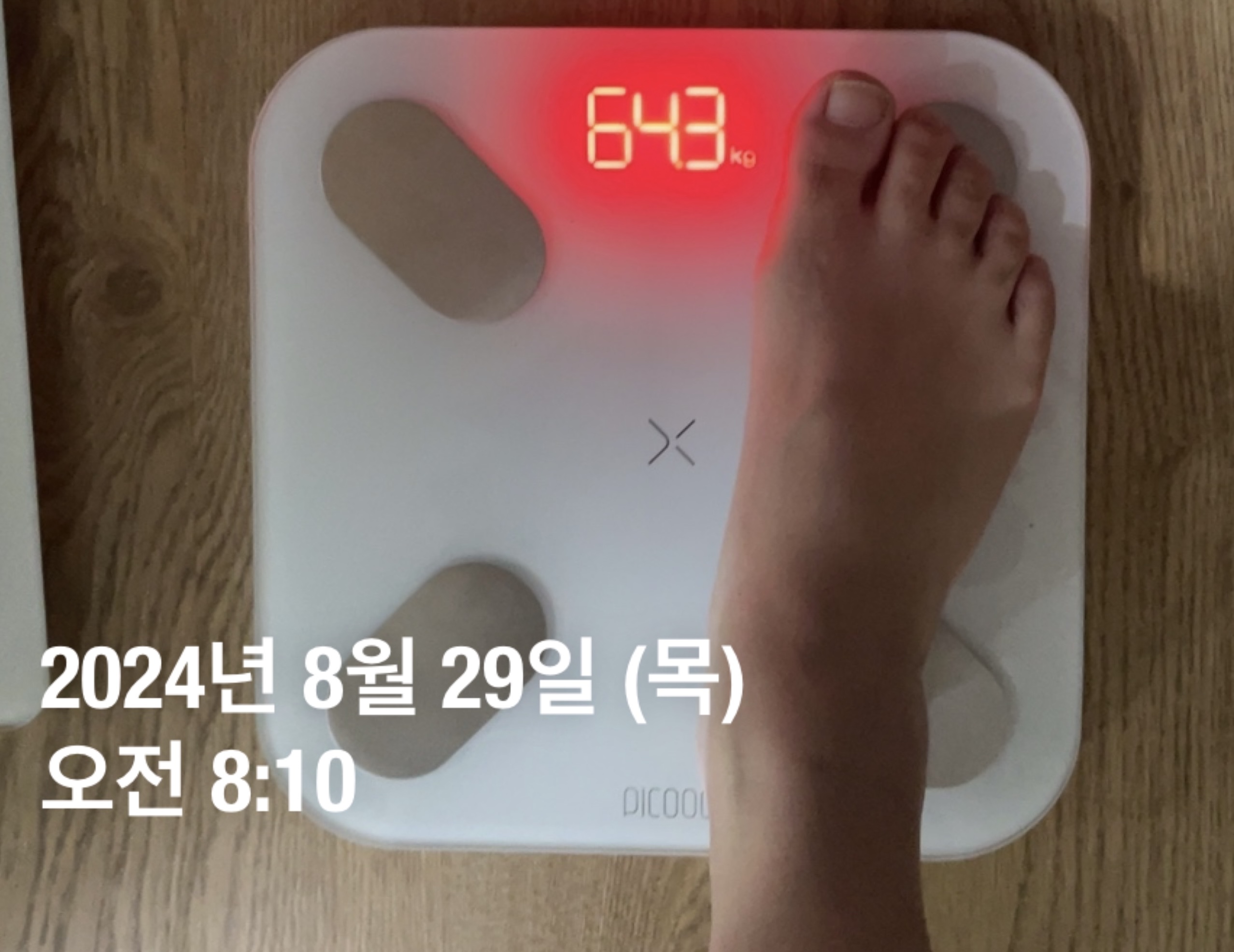 2024년 8월 29일 몸무게 측정 결과 사진