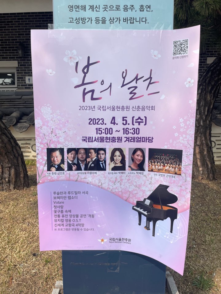 벚꽃