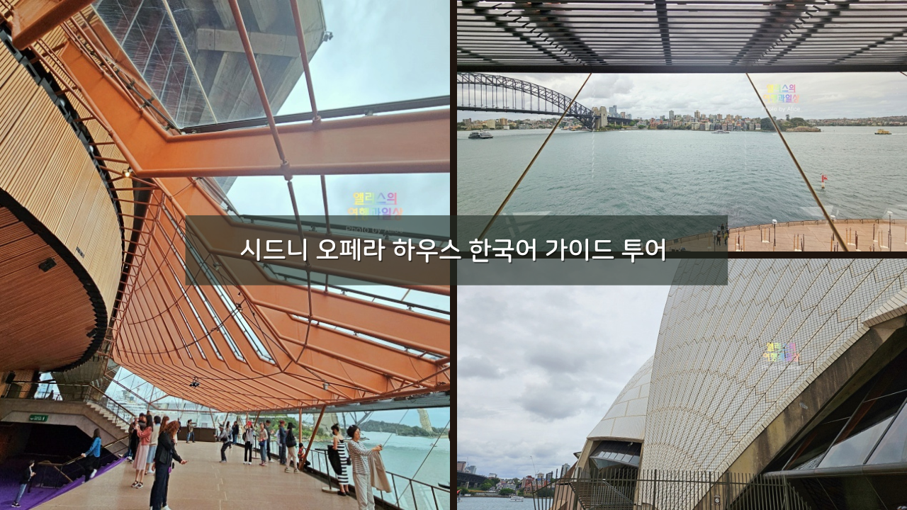 익스피디아 12월 15% 호텔할인코드 (~12.31) + 호주 시드니 여행 추천 일일투어