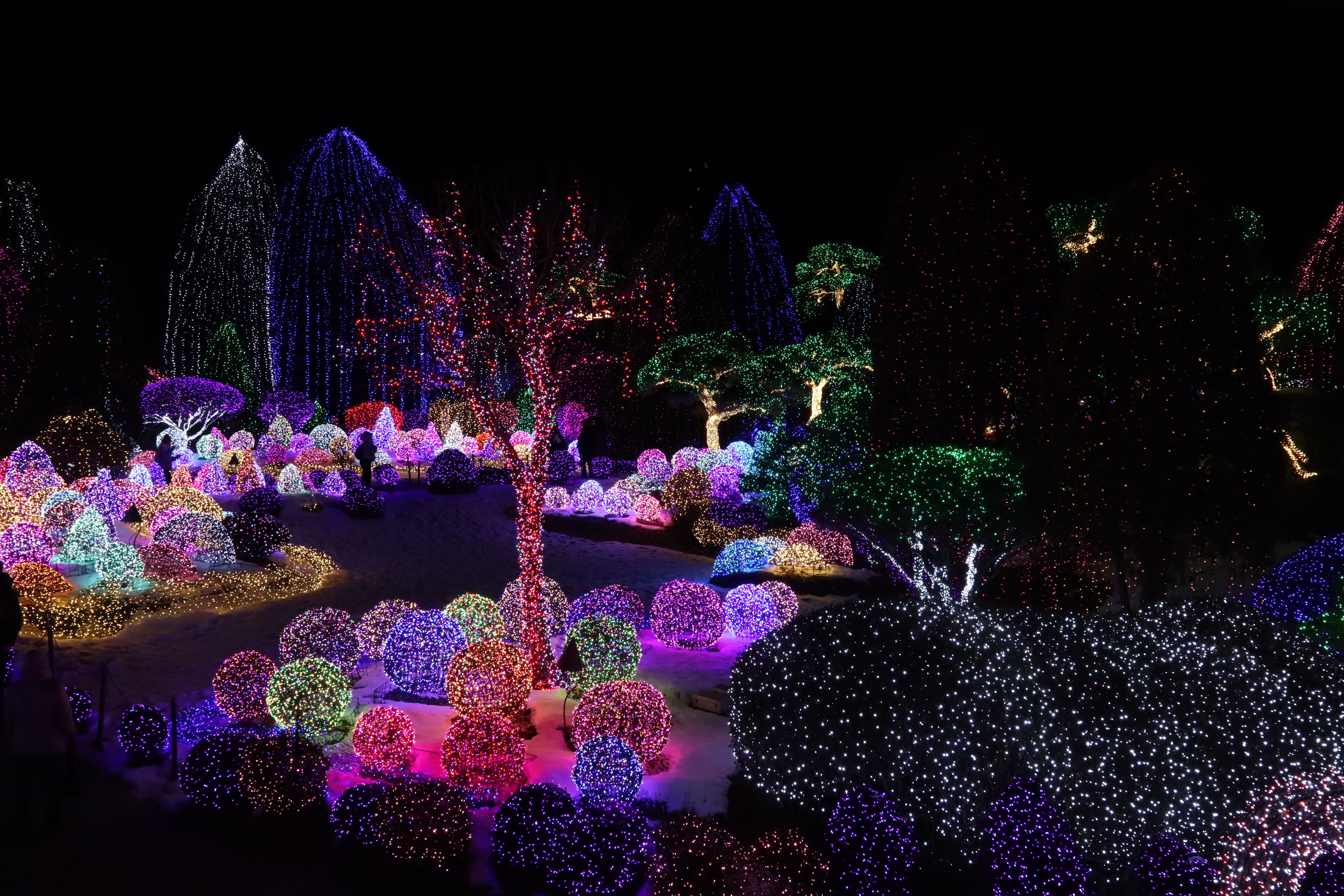 아침고요수목원