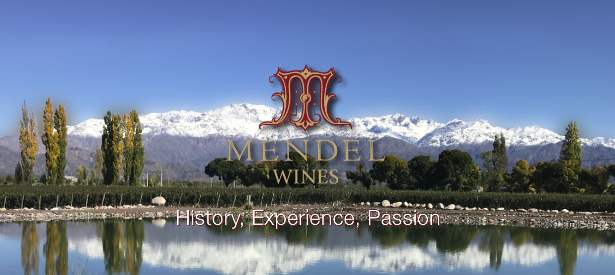 보데가 멘델의 홈페이지 대문