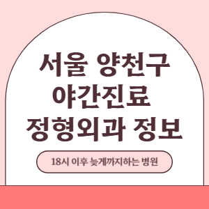 서울 양천구 야간진료 정형외과 병원 (18시 이후 늦게까지하는 병원)