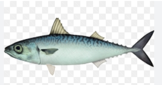 60대 관절염 예방하는 확실한 방법 - 무릎 건강 지키는 생활 습관