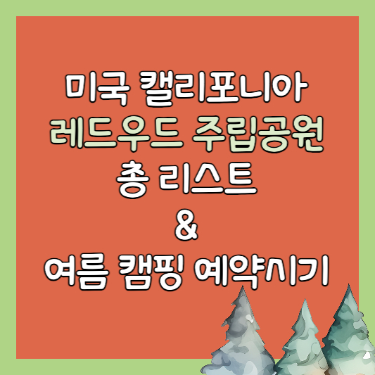 레드우드 주립공원