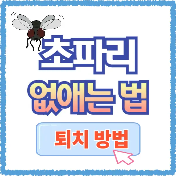 초파리 없애는 방법