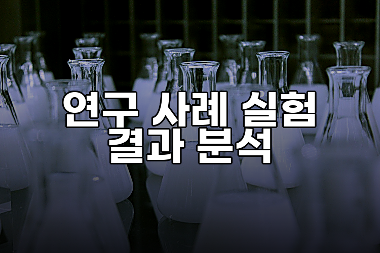 연구 사례 실험 결과 분석