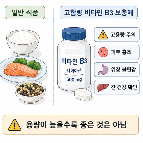 일반 식품과 고함량 비타민 B3 보충제를 구분하고 과다 섭취 시 피부 홍조와 위장 불편감, 간 관련 부작용을 주의해야 함을 보여 주는 그림