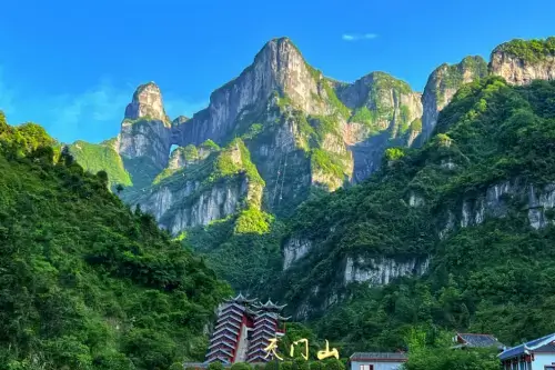 푸른-산림이-덮인-천문산-국가삼림공원의-산과-봉우리