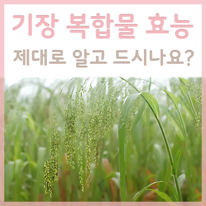 기장복합물-원재료