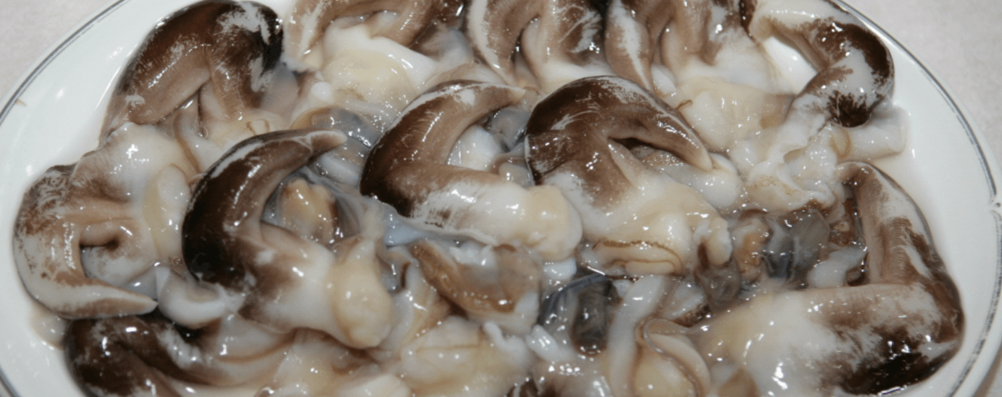 남당리 새조개 축제