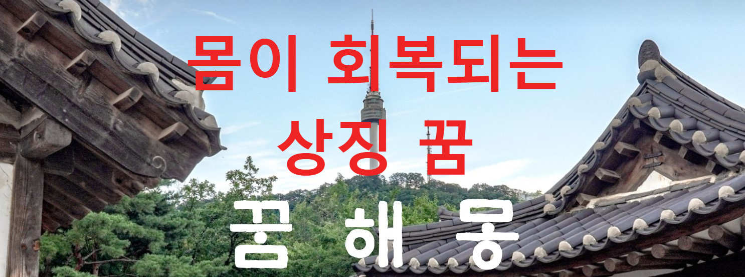 꿈해몽