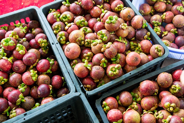 망고스틴 고르는법 보관법