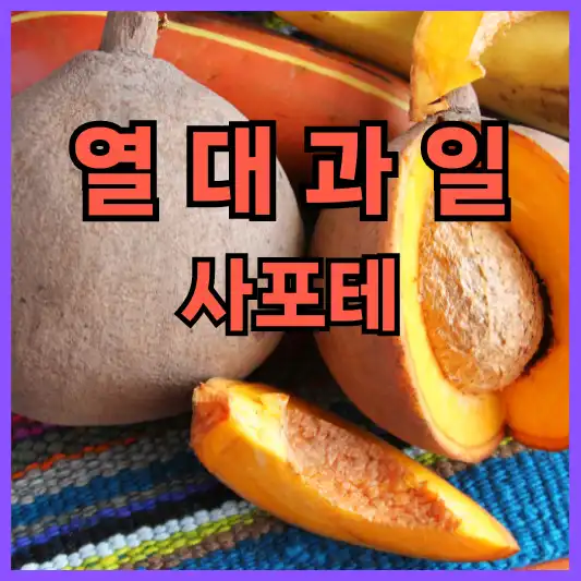 열대과일 사포테