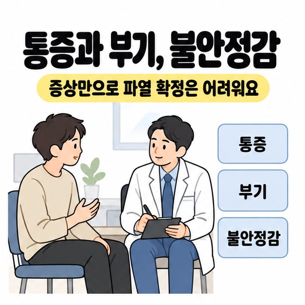 통증과 부기, 불안정감 레이블 옆에서 환자가 의료진과 상담하며 증상만으로 파열을 확정하기 어렵다고 안내하는 모습