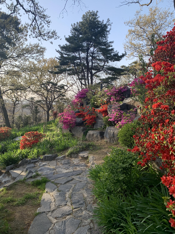 아산 공세리 성당 산책길 1