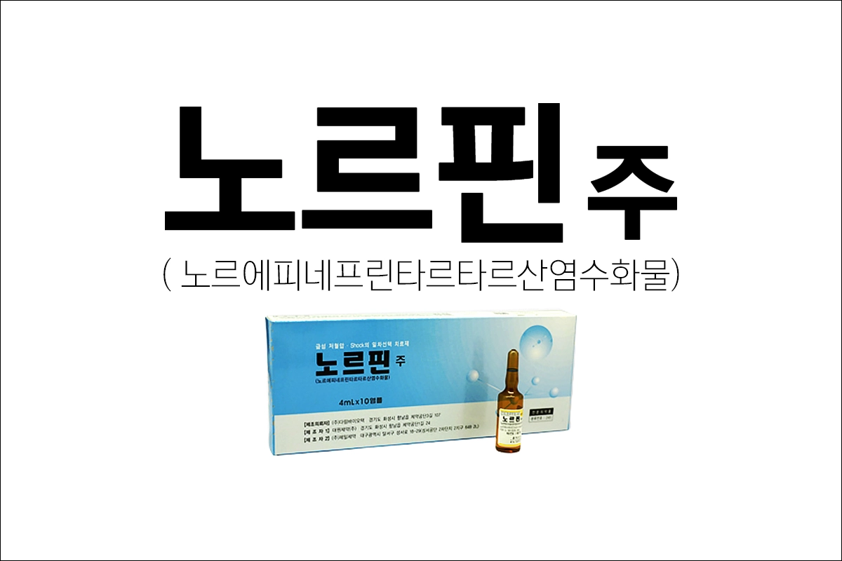 노르핀주 효능 효과 부작용 급성 저혈압 응급키트 응급약물 노르에피네프린타르타르산염수화물
